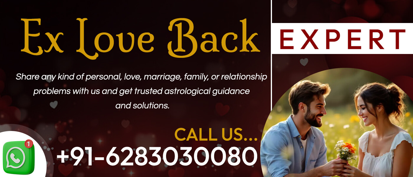 Ex Love Back Expert